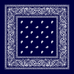 Blue Paisley Bandanna