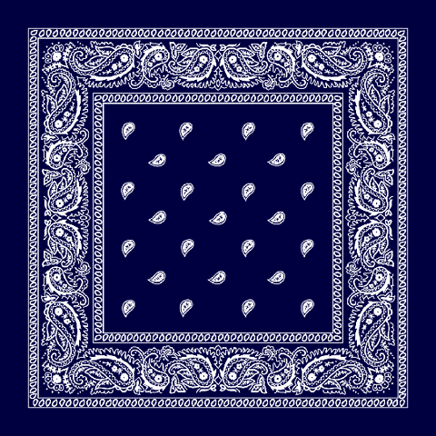 Blue Paisley Bandanna