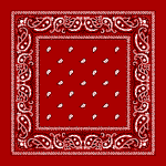 Red Paisley Bandanna